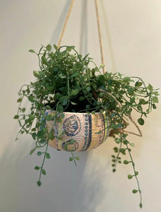 MEXICALI Stunning Round ceramic hand Painted rope Hanging Pot planter art decor